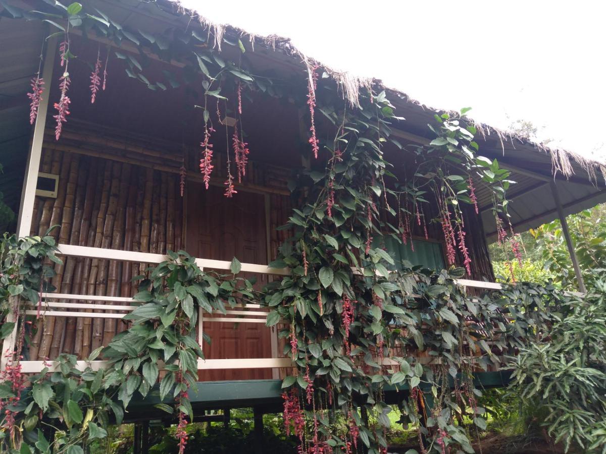 กุมันกอลลี เฮอริเทจ รีสอร์ต Hotel Thirunelly ภายนอก รูปภาพ
